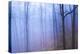 Harriman Woods VI-James McLoughlin-Premier Image Canvas