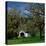 Harris Covered Bridge-Ike Leahy-Premier Image Canvas