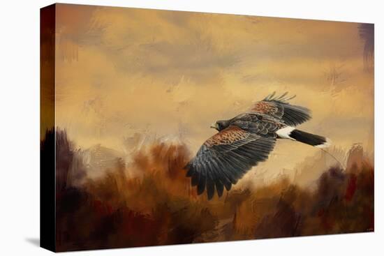 Harris Hawk in Autumn-Jai Johnson-Premier Image Canvas