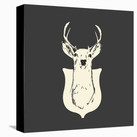 Harrison Deer-Carly Lawrence-Stretched Canvas