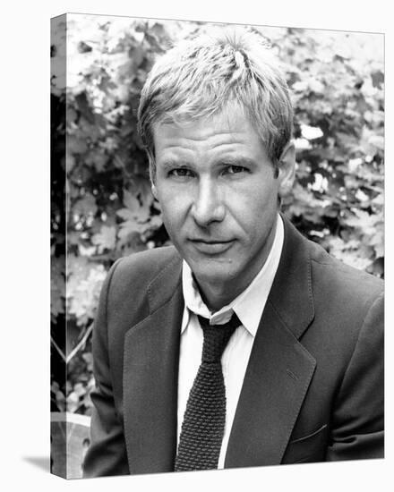 Harrison Ford-null-Stretched Canvas