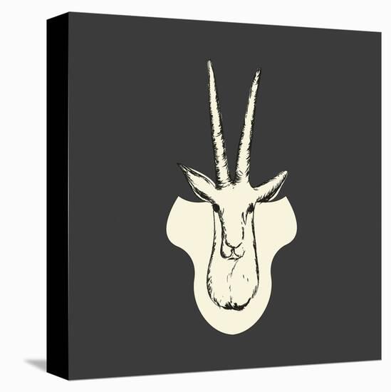 Harrison Gazelle-Carly Lawrence-Stretched Canvas