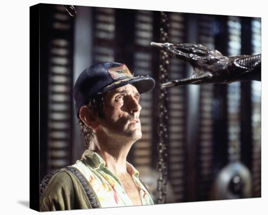 Harry Dean Stanton-null-Stretched Canvas
