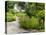 Harry P. Leu Gardens, Orlando, Florida, United States of America, North America-Michael DeFreitas-Premier Image Canvas