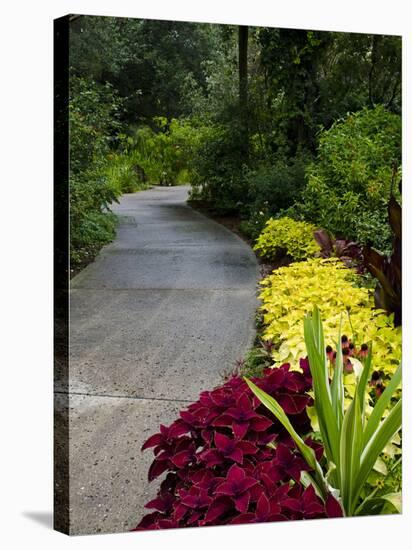 Harry P. Leu Gardens, Orlando, Florida, United States of America, North America-Michael DeFreitas-Premier Image Canvas