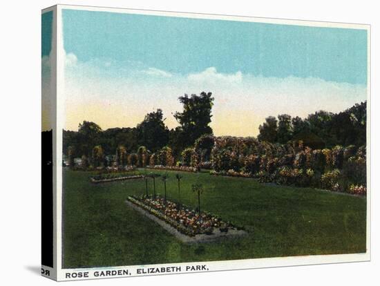 Hartford, Connecticut - Elizabeth Park Rose Garden-Lantern Press-Stretched Canvas