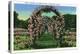 Hartford, Connecticut - Elizabeth Park View of the Rose Arches-Lantern Press-Stretched Canvas