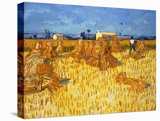 Harvest in Provence, June 1888-Vincent van Gogh-Premier Image Canvas