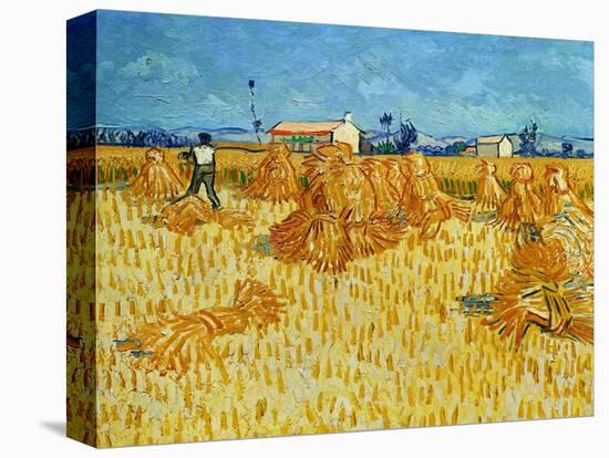 Harvest in Provence of Wheat Field with Sheaves, c.1888-Vincent van Gogh-Premier Image Canvas