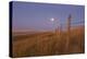 Harvest Moon Down the Road, Gleichen, Alberta, Canada-null-Premier Image Canvas