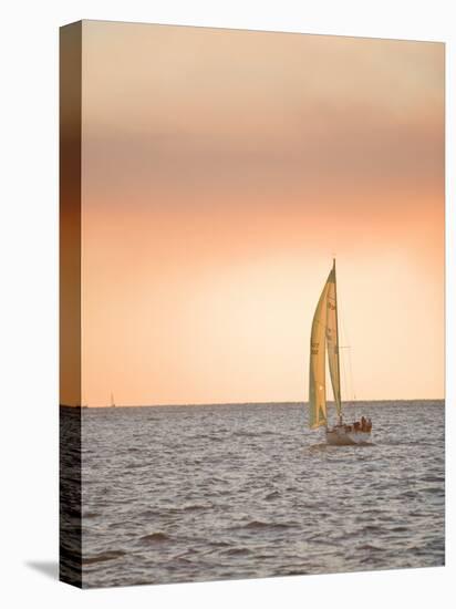 Harvest Moon Regatta, Galveston, Texas, USA-Russell Young-Premier Image Canvas