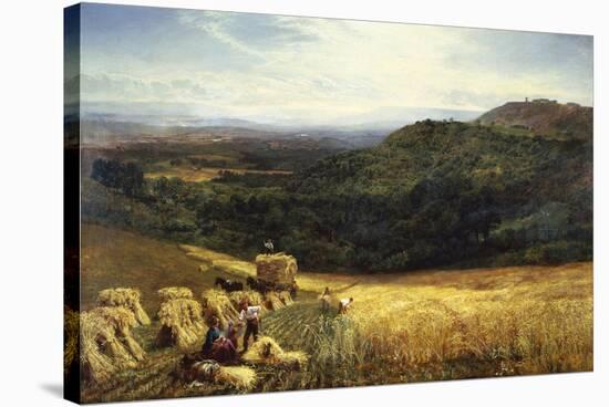 Harvest Time I-George Vicat Cole-Stretched Canvas