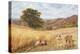 Harvest Time Near Holmbury Hill, Surrey, 1865-George Vicat Cole-Premier Image Canvas