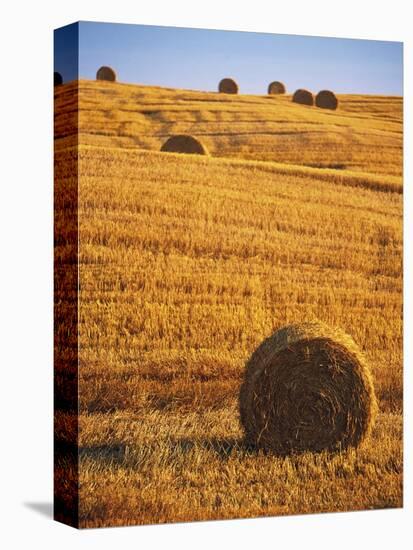 Harvested Fields of Hay-Jim Craigmyle-Premier Image Canvas
