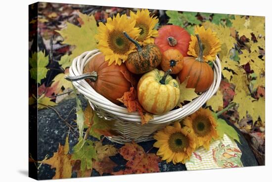 Harvested Pumpkins And Sunflowers-Erika Craddock-Premier Image Canvas