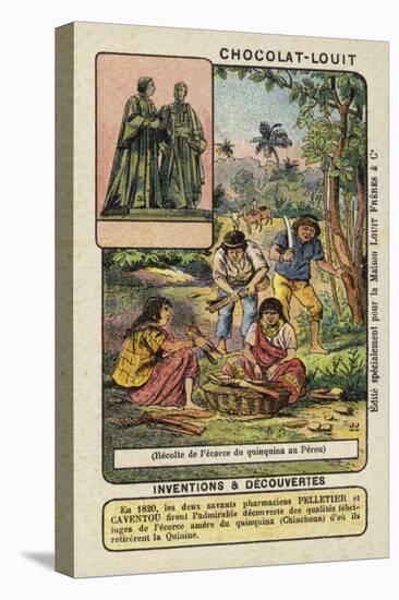 Harvesting Cincona Bark for Quinine, Peru-null-Premier Image Canvas