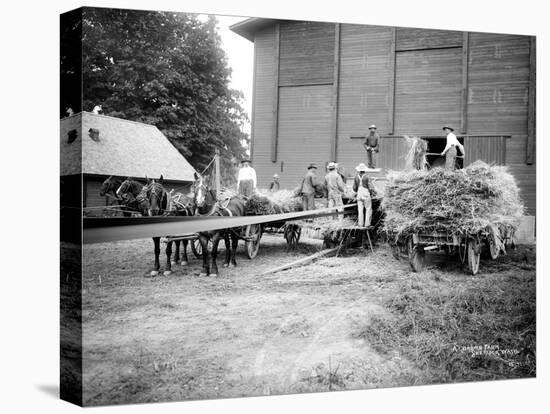 Harvesting Hay, Circa 1909-Asahel Curtis-Premier Image Canvas