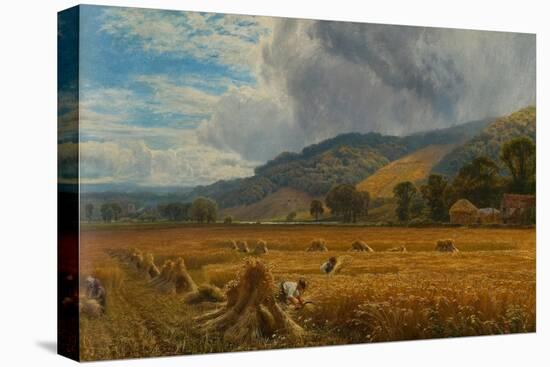 Harvesting in the Thames Valley, 1888 (Oil on Canvas)-George Vicat Cole-Premier Image Canvas