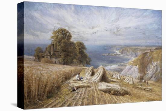 Harvesting on the South Coast, 1869-Edmund George Warren-Premier Image Canvas