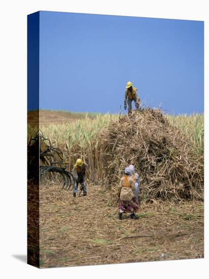 Harvesting Sugar Cane, Mauritius, Indian Ocean, Africa-G Richardson-Premier Image Canvas