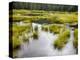 Hatcher's Pass creek marsh-Savanah Plank-Stretched Canvas