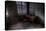 Haunted Interior Room-Nathan Wright-Premier Image Canvas