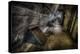 Haunted Interior-Nathan Wright-Premier Image Canvas