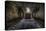 Haunted Interior-Nathan Wright-Premier Image Canvas