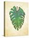 Havana Palm 1-J Charles-Stretched Canvas