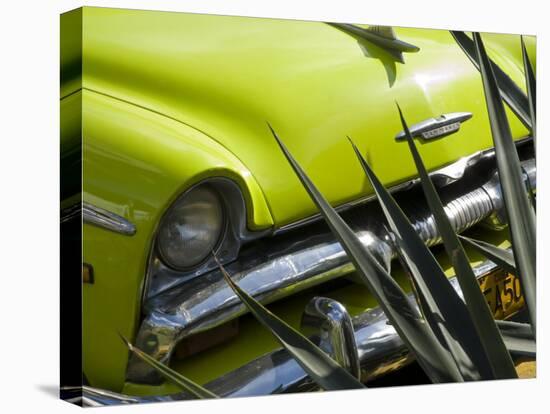 Havana, Vintage American Cars, Havana, Cuba-Paul Harris-Premier Image Canvas