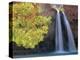 Havasu Falls-Ron Watts-Premier Image Canvas