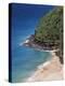 Hawaii, Kauai, a Beach Along the Na Pali Coast-Christopher Talbot Frank-Premier Image Canvas