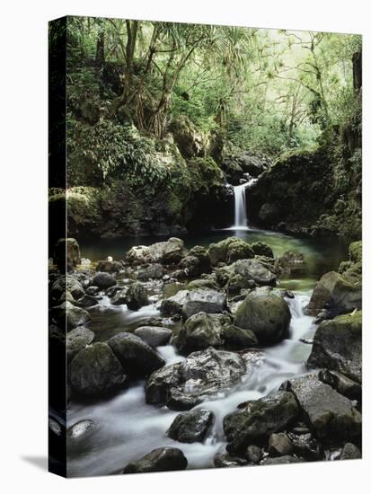 Hawaii, Maui, a Waterfall Flows into Blue Pool from the Rainforest-Christopher Talbot Frank-Premier Image Canvas