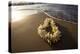 Hawaii, Maui, Lie on Kihei Beach with Reflections in Sand-Terry Eggers-Premier Image Canvas