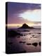 Hawaii, Maui, Three Palm Tree Island at Sunrise in Hana-Christopher Talbot Frank-Premier Image Canvas
