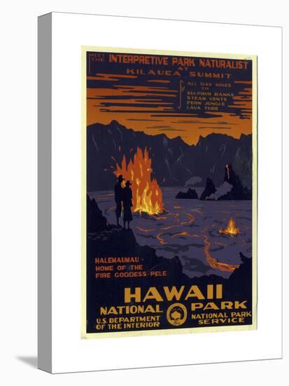 Hawaii National Park-null-Premier Image Canvas