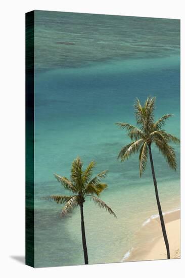 Hawaii, Oahu, Honolulu, Waikiki, Fort Derussy Beach and Palm Trees-David Wall-Premier Image Canvas