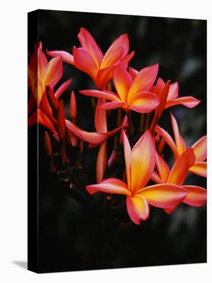 Hawaii-Eliot Elisofon-Premier Image Canvas