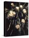 Hawaiian Flora: Night Blooming Cereus-Eliot Elisofon-Premier Image Canvas