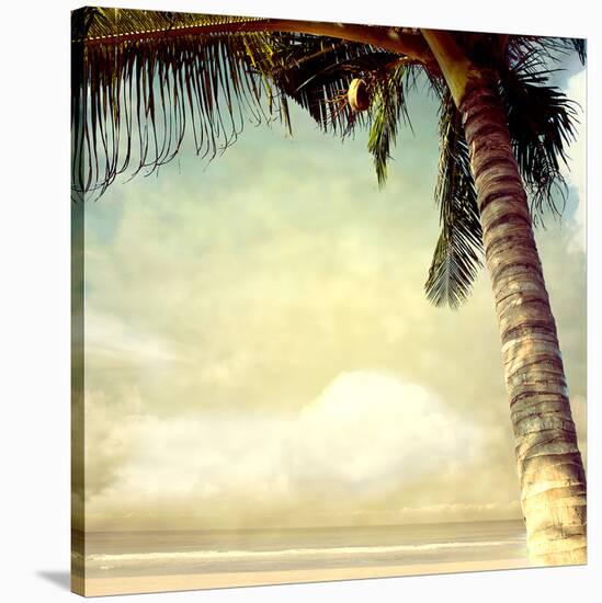 Hawaiian Memories I-null-Stretched Canvas