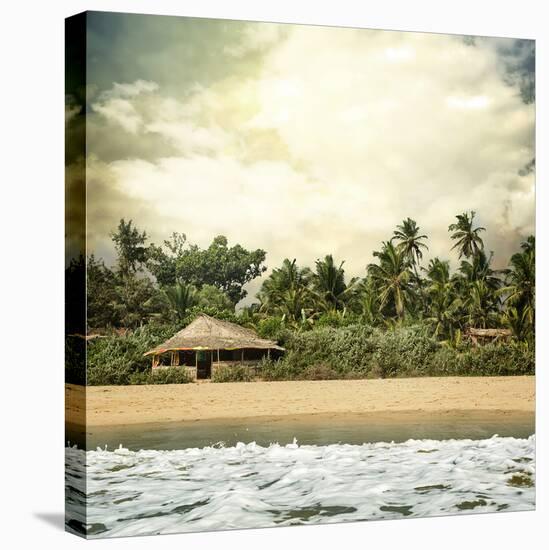 Hawaiian Memories IV-null-Stretched Canvas