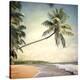 Hawaiian Memories VI-null-Stretched Canvas