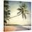 Hawaiian Memories VI-null-Stretched Canvas