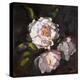 Hawaiian Peonies-Jeri Ireland-Stretched Canvas