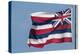 Hawaiian State Flag, Oahu, Hawaii-Michael DeFreitas-Premier Image Canvas