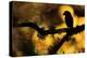 Hawfinch silhouetted on a branch of Portuguese oak, Spain-Andres M. Dominguez-Premier Image Canvas