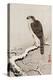 Hawk on Snow-Covered Branch-Koson Ohara-Premier Image Canvas