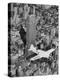 Hawks Airplane in Flight over New York City-null-Stretched Canvas