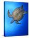 Hawksbill Turtle (Eretmochelys Imbricata) Swimming-Claudio Contreras-Premier Image Canvas