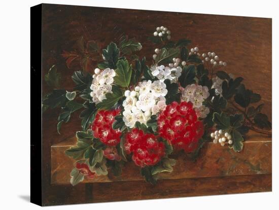 Hawthorn on a Marble Ledge-Johan Laurentz Jensen-Premier Image Canvas